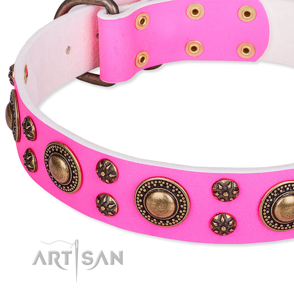 Natural genuine leather dog collar with unusual studs