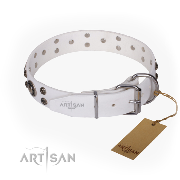 Stylish walking full grain leather collar with adornments for your pet