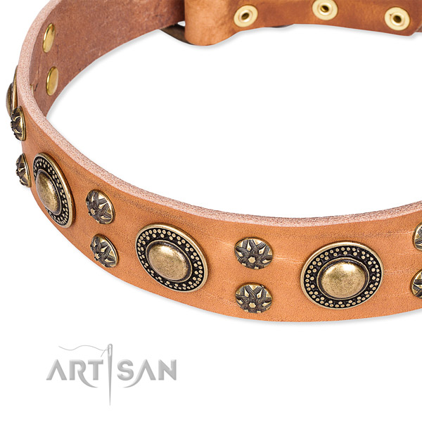 Leather dog collar with amazing embellishments