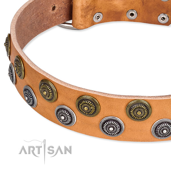 Genuine leather dog collar with fashionable embellishments