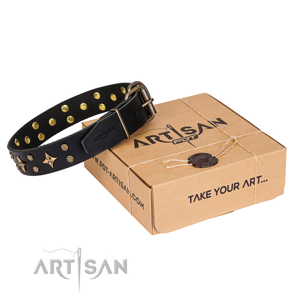 Studded full grain genuine leather dog collar for everyday use