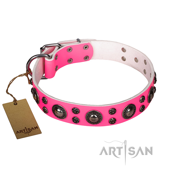 Awesome full grain leather dog collar for walking