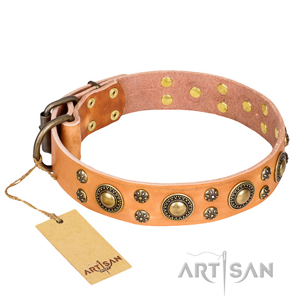 Remarkable genuine leather dog collar for walking