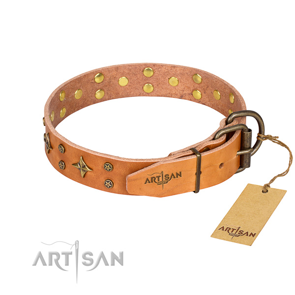 Daily use leather collar with decorations for your dog