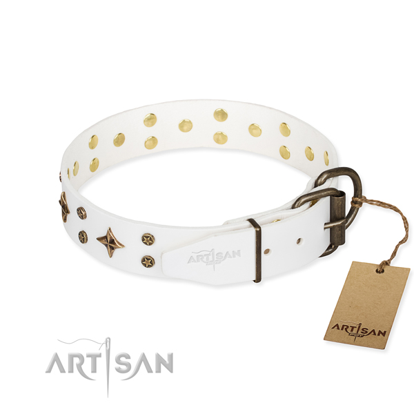 Walking natural genuine leather collar with adornments for your four-legged friend