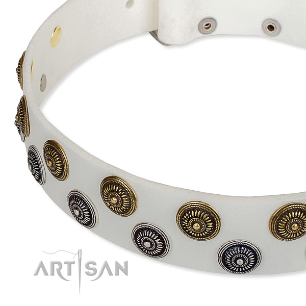 Genuine leather dog collar with significant adornments