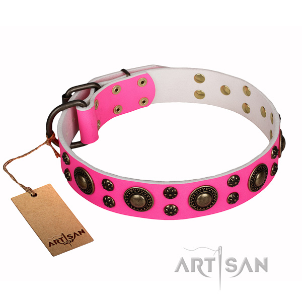 Everyday use full grain genuine leather collar with decorations for your canine