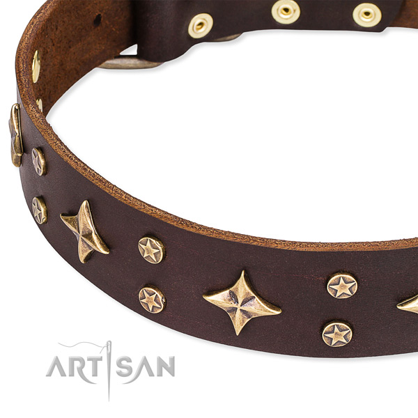 Full grain genuine leather dog collar with awesome embellishments