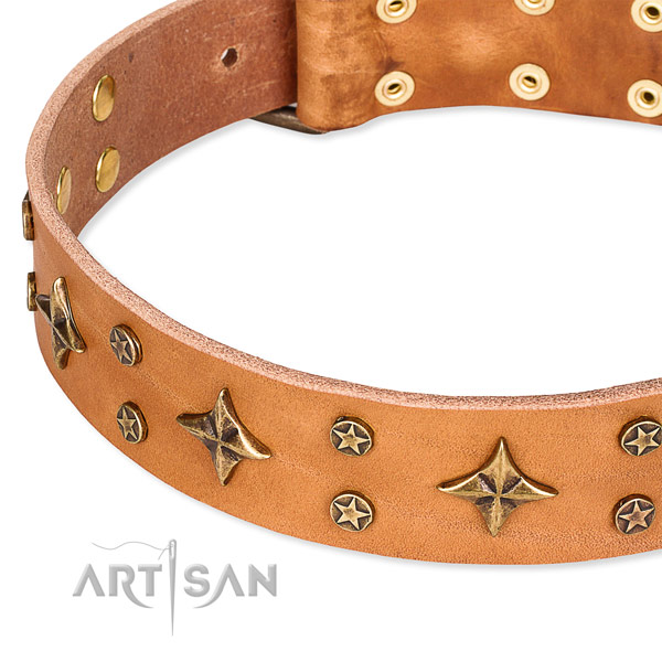 Full grain genuine leather dog collar with unique adornments