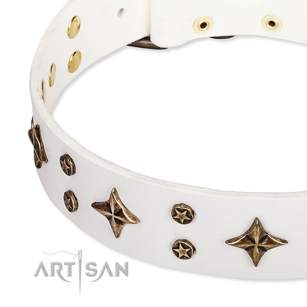 Full grain natural leather dog collar with impressive studs