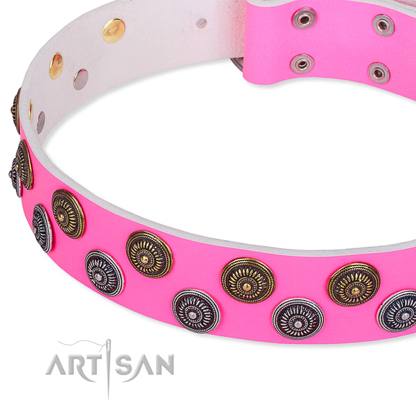 Full grain leather dog collar with top notch studs