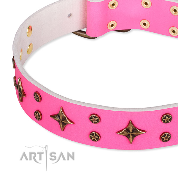 Full grain natural leather dog collar with amazing decorations