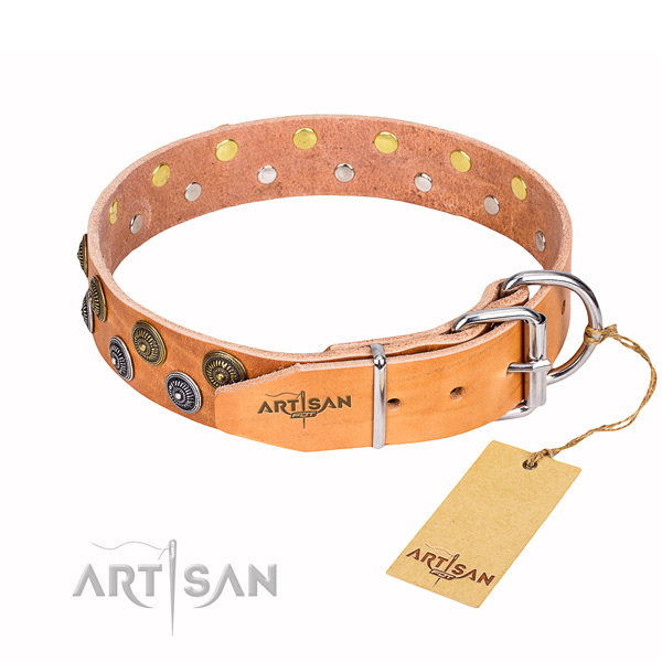 Daily use genuine leather collar with adornments for your four-legged friend