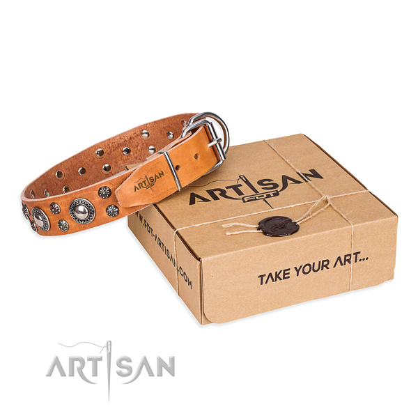 Awesome genuine leather dog collar for stylish walks