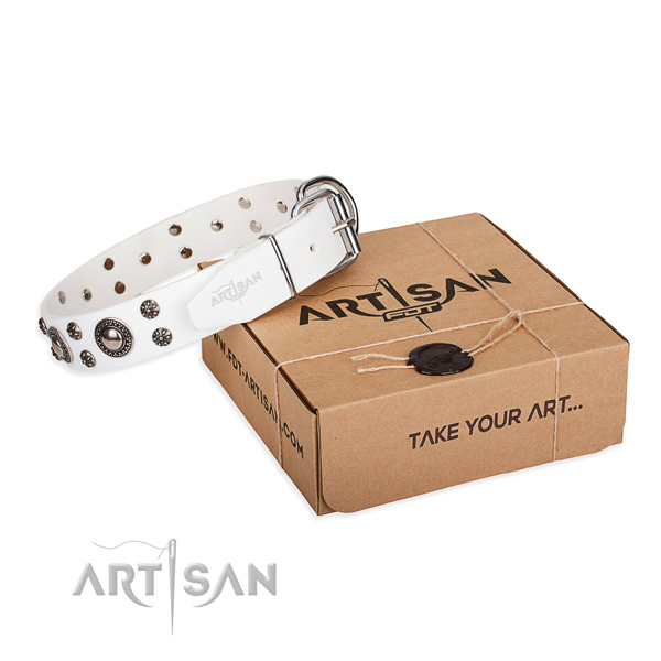 Designer genuine leather dog collar for everyday use