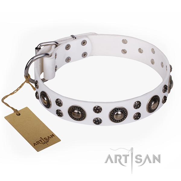 Unique genuine leather dog collar for daily use