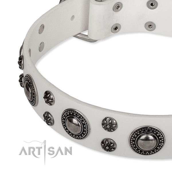 Everyday walking natural genuine leather collar with corrosion proof buckle and D-ring
