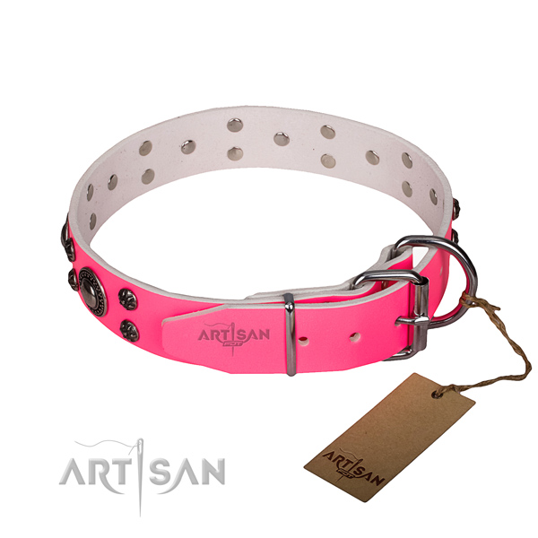 Everyday use full grain leather collar with corrosion proof buckle and D-ring
