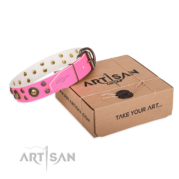 Full grain genuine leather dog collar with adornments for walking