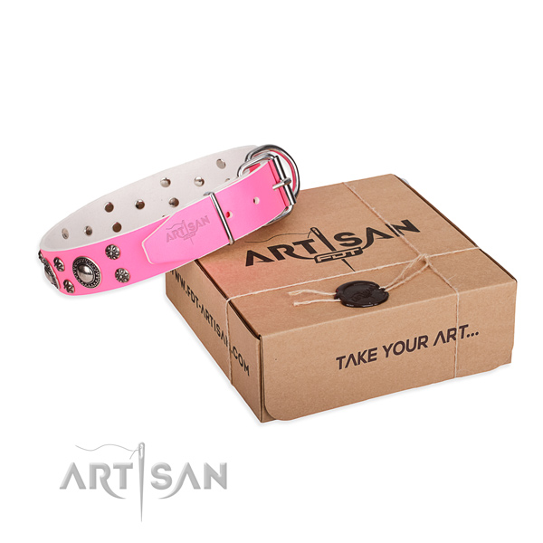 Stylish genuine leather dog collar for walking in style