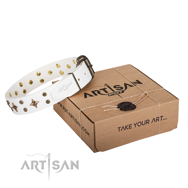 Decorated full grain leather dog collar for stylish walks