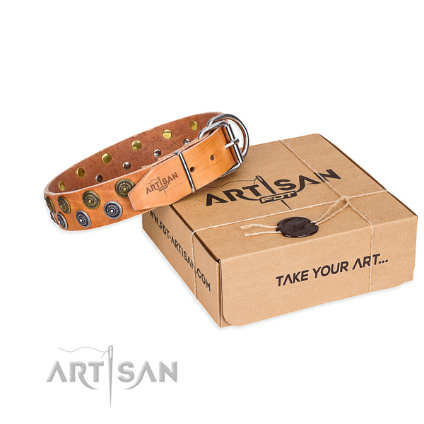 Leather dog collar with adornments for stylish walking
