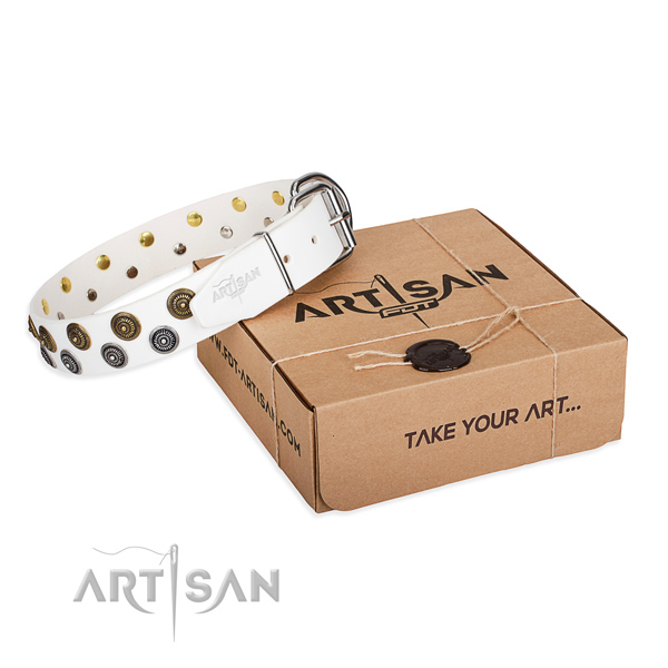 Full grain natural leather dog collar with embellishments for daily walking