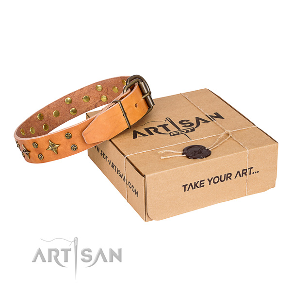 Decorated full grain natural leather dog collar for everyday walking