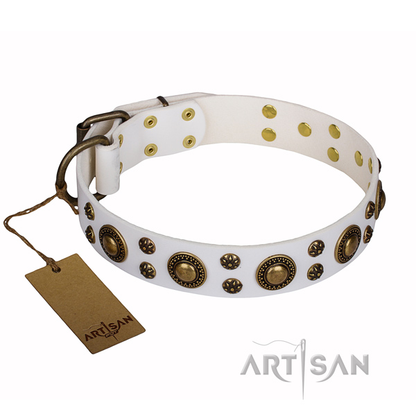 Everyday use full grain leather collar with adornments for your canine
