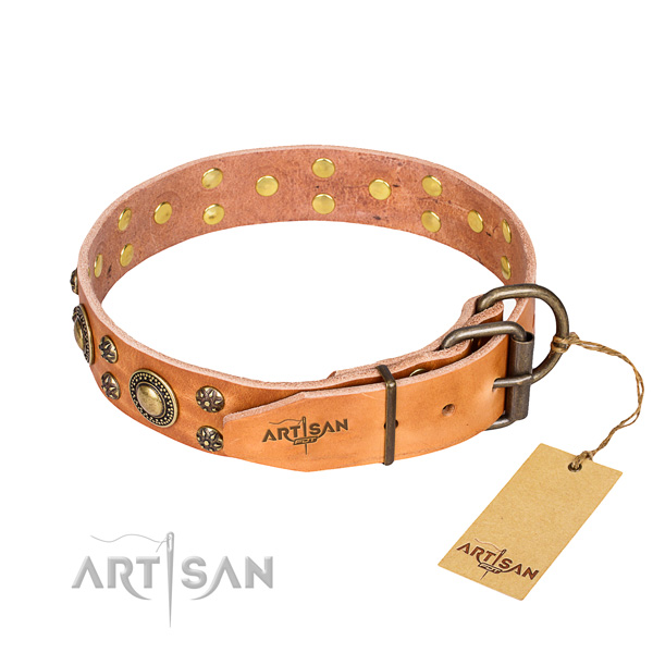 Everyday use genuine leather collar with studs for your canine