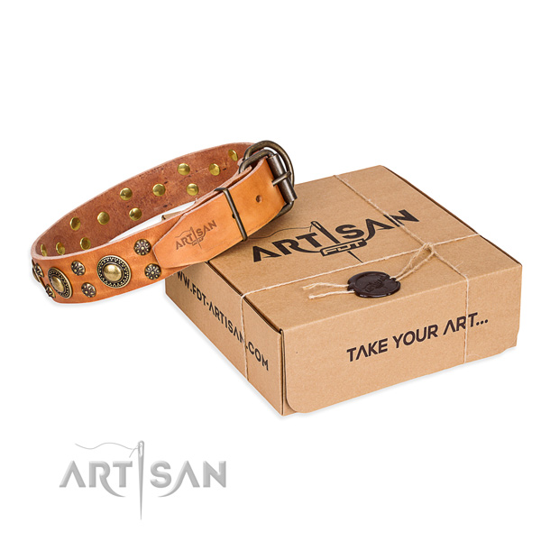 Natural genuine leather dog collar with studs for daily use