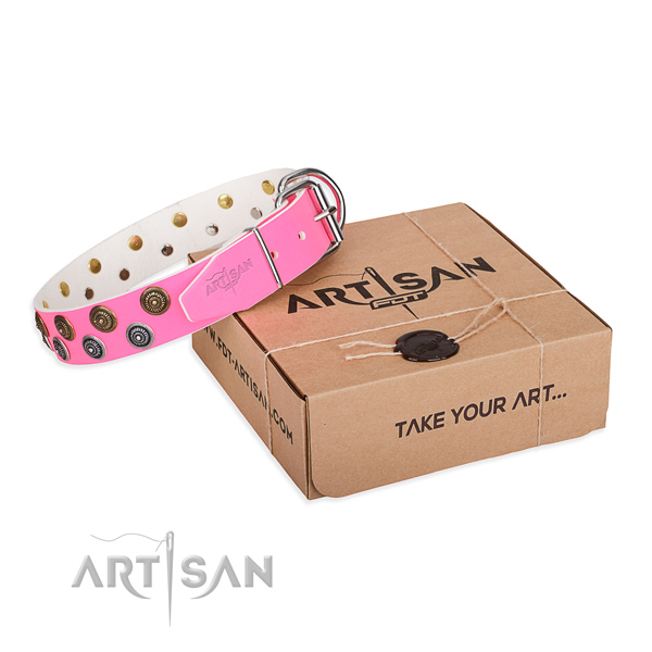 Studded genuine leather dog collar for comfortable wearing