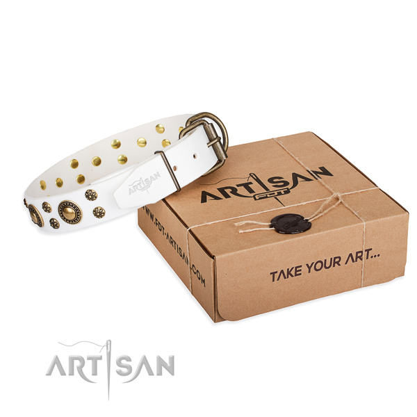 Full grain genuine leather dog collar with decorations for everyday walking