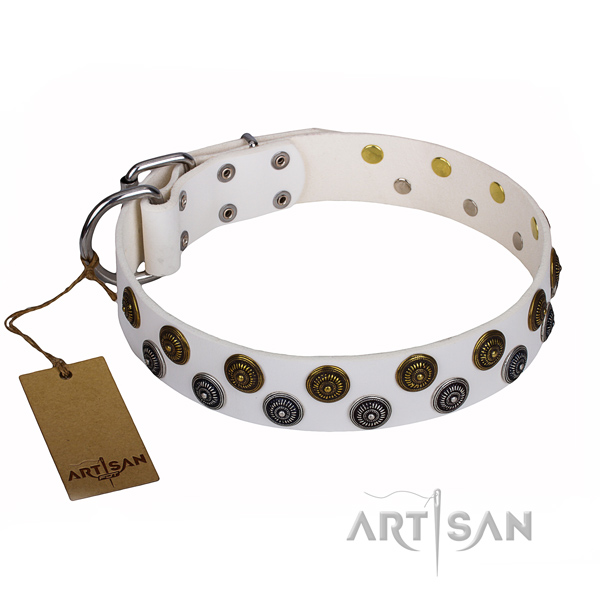 Unusual full grain leather dog collar for everyday walking