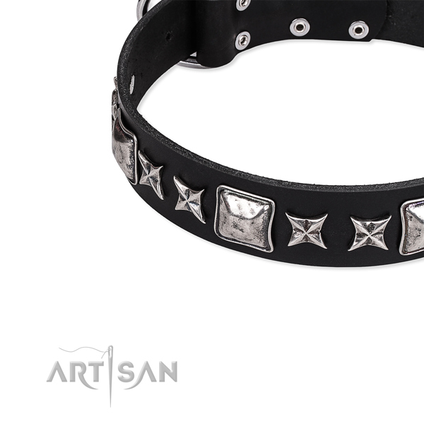 Full grain natural leather dog collar with exquisite embellishments