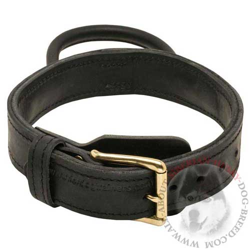 2 Ply Leather Dog Collar for Siberian Husky Training