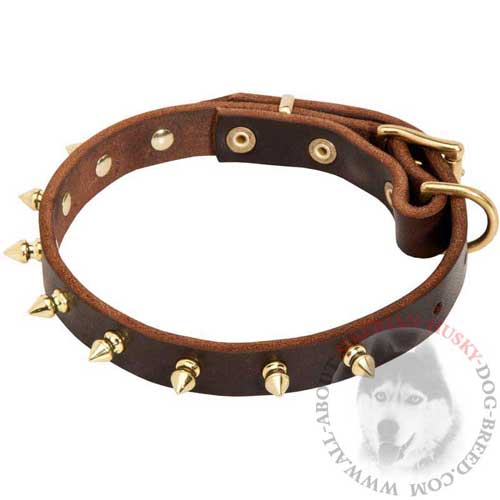 Everyday Walking Leather Collar with Spikes