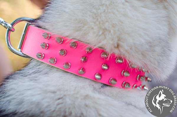 Exclusive Pink Siberian Husky Collar with 3 Rows of Decorative Spikes