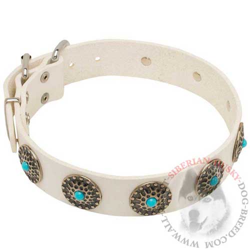 Siberian Husky Collar Leather for Daily Walking in Style