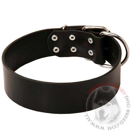 Leather Siberian Husky Collar for Dog Walking and Control