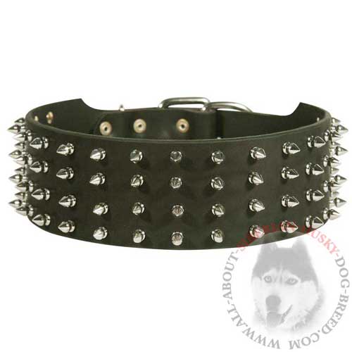 Buckle Leather Siberian Husky Collar with Nickel Spikes