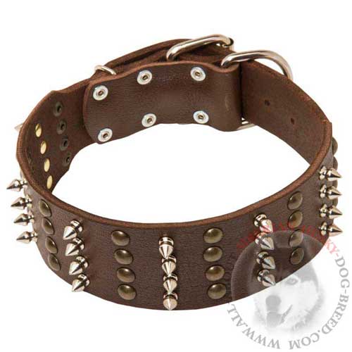Extra Wide Spiked and Studded Leather Siberian Husky Collar
