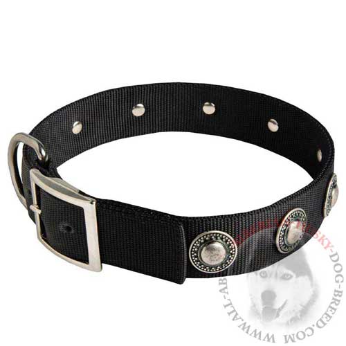 Nylon Dog Collar with Silvery Conchos