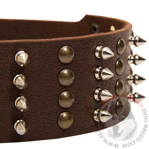 Siberian Husky Collar with Rustproof Studs and Spikes