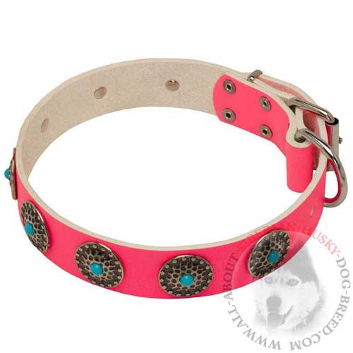 Leather Pink Collar for Siberian Husky Safe Walking
