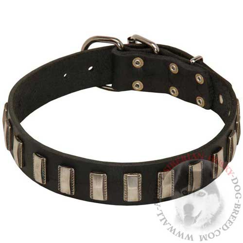 Cool Siberian Husky Collar Leather for Everyday Walking