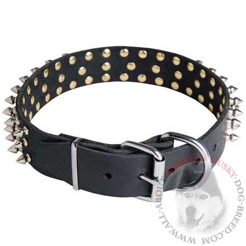 Buckle Leather Collar