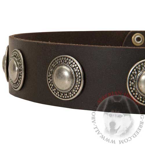 Leather Siberian Husky Collar Fashion for Dog Walking