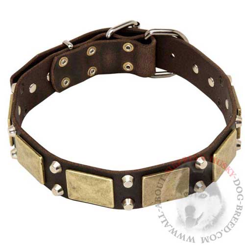 Studded Leather Collar for Siberian Husky Walking in Style