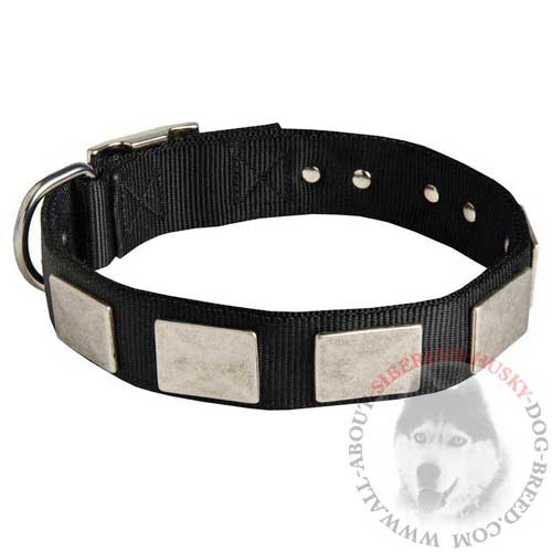 Siberian Husky Nylon Collar for Walking and Training